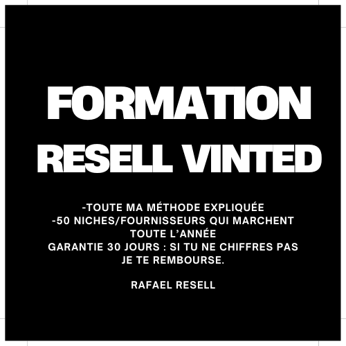 Formation Resell Vinted V2 + BONUS PACK (50 Niches & Fournisseurs)